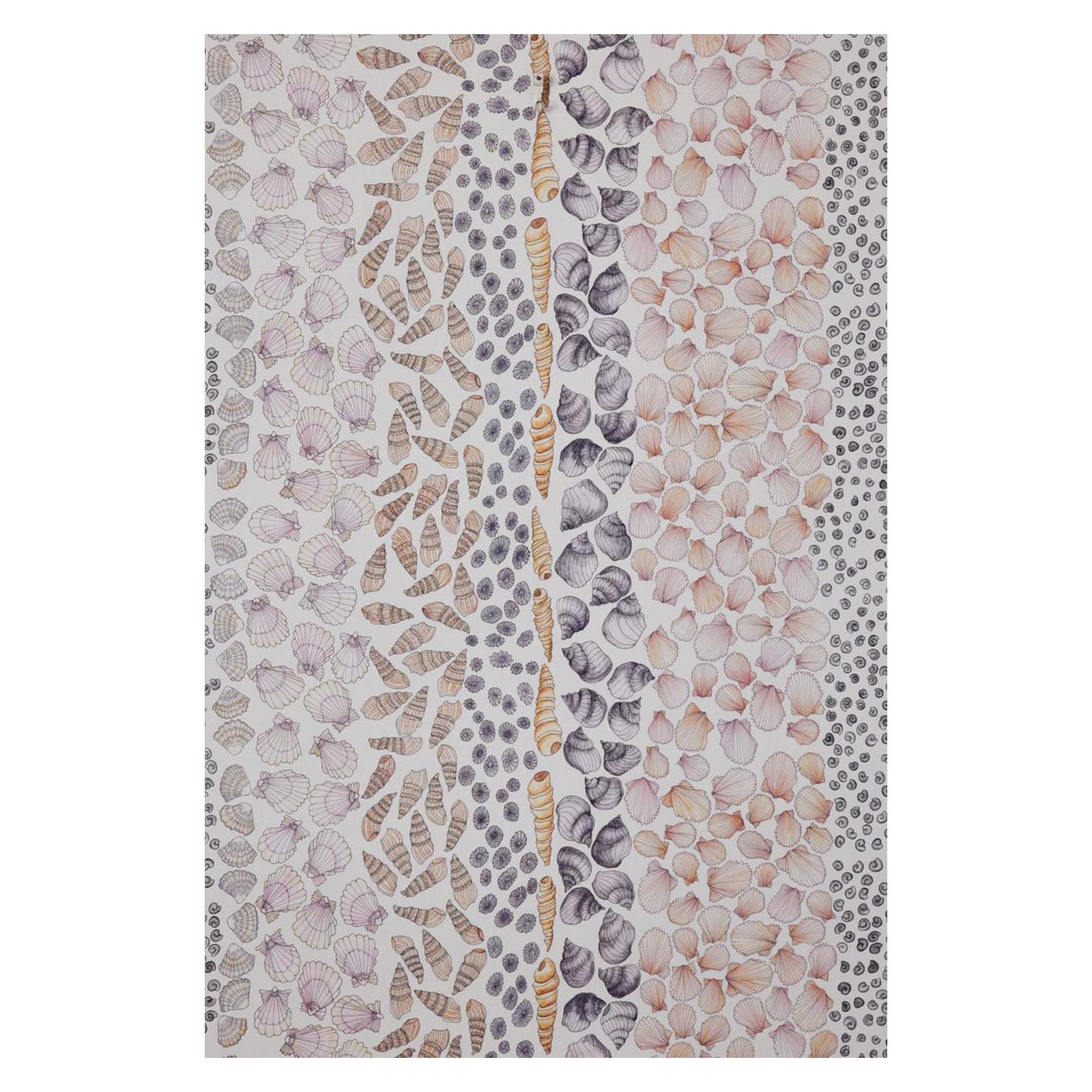 Seashells - Wallpaper Trader