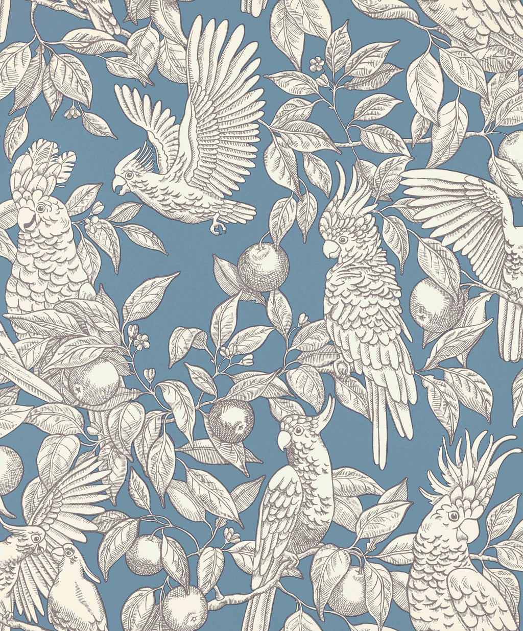 Talk about Cockatoos wallpaper by Langelid/von Bromssen - animals design in Blue
