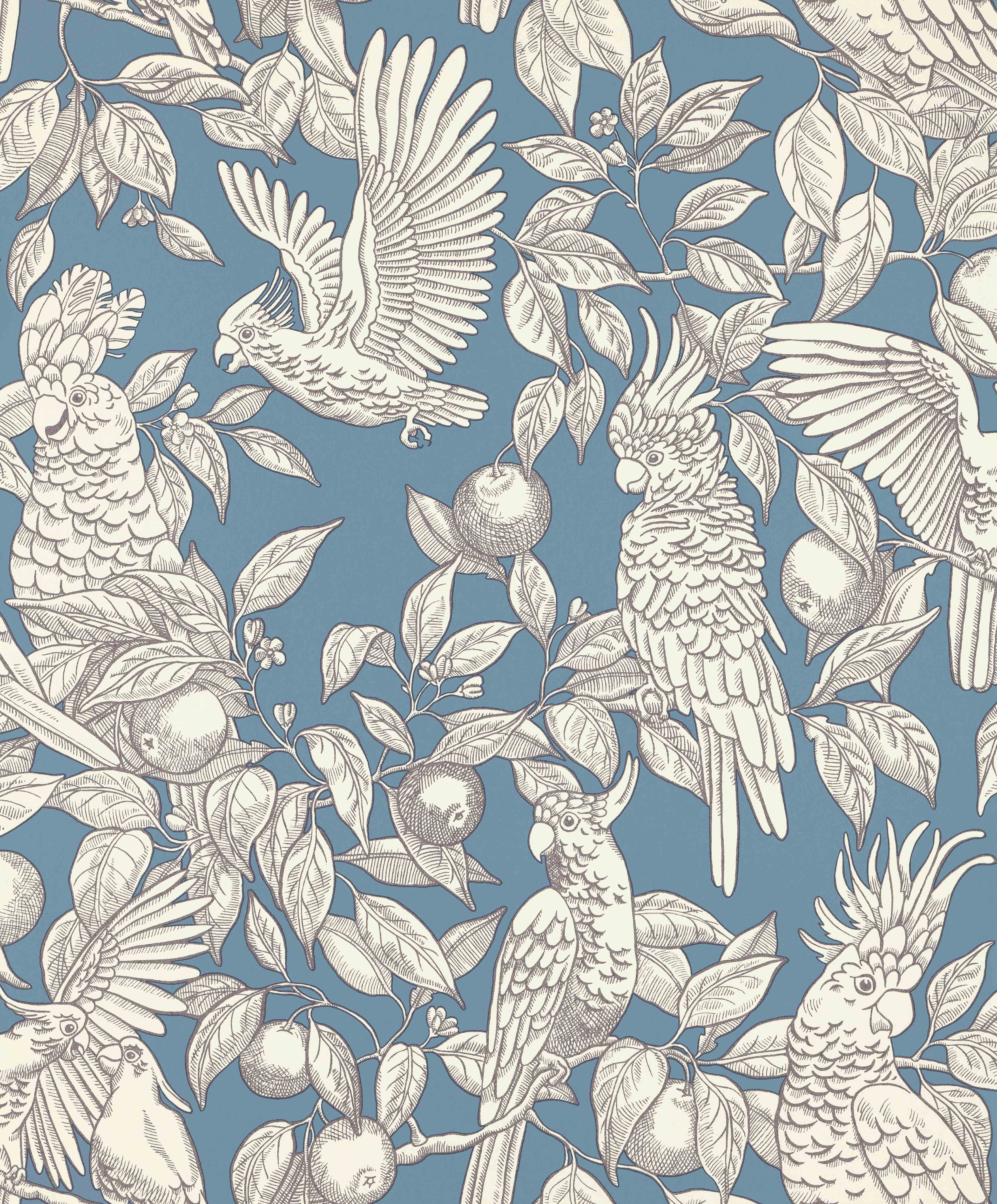 Talk about Cockatoos wallpaper by Langelid/von Bromssen - animals design in Blue