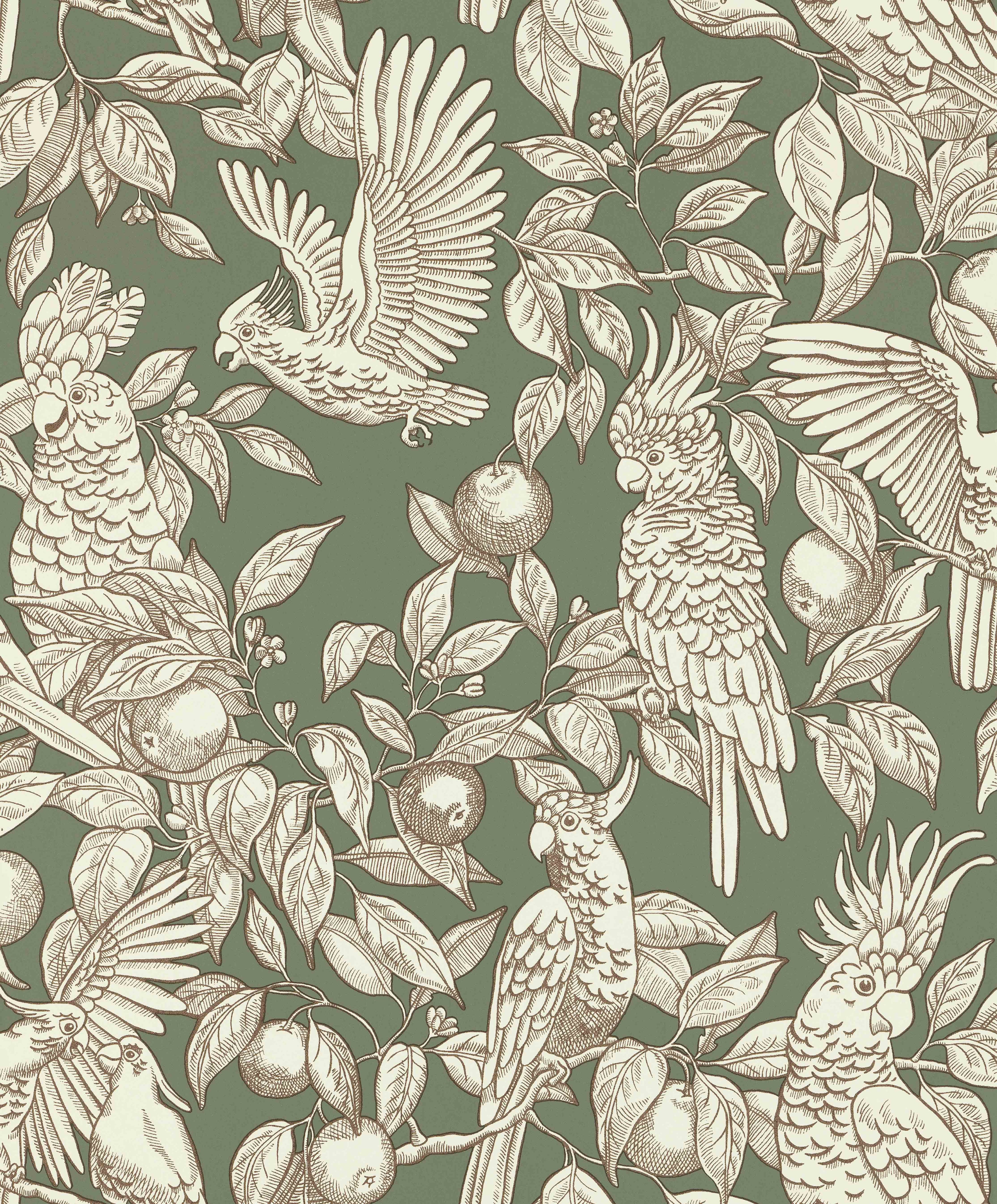 Talk about Cockatoos wallpaper by Langelid/von Bromssen - animals design in Green