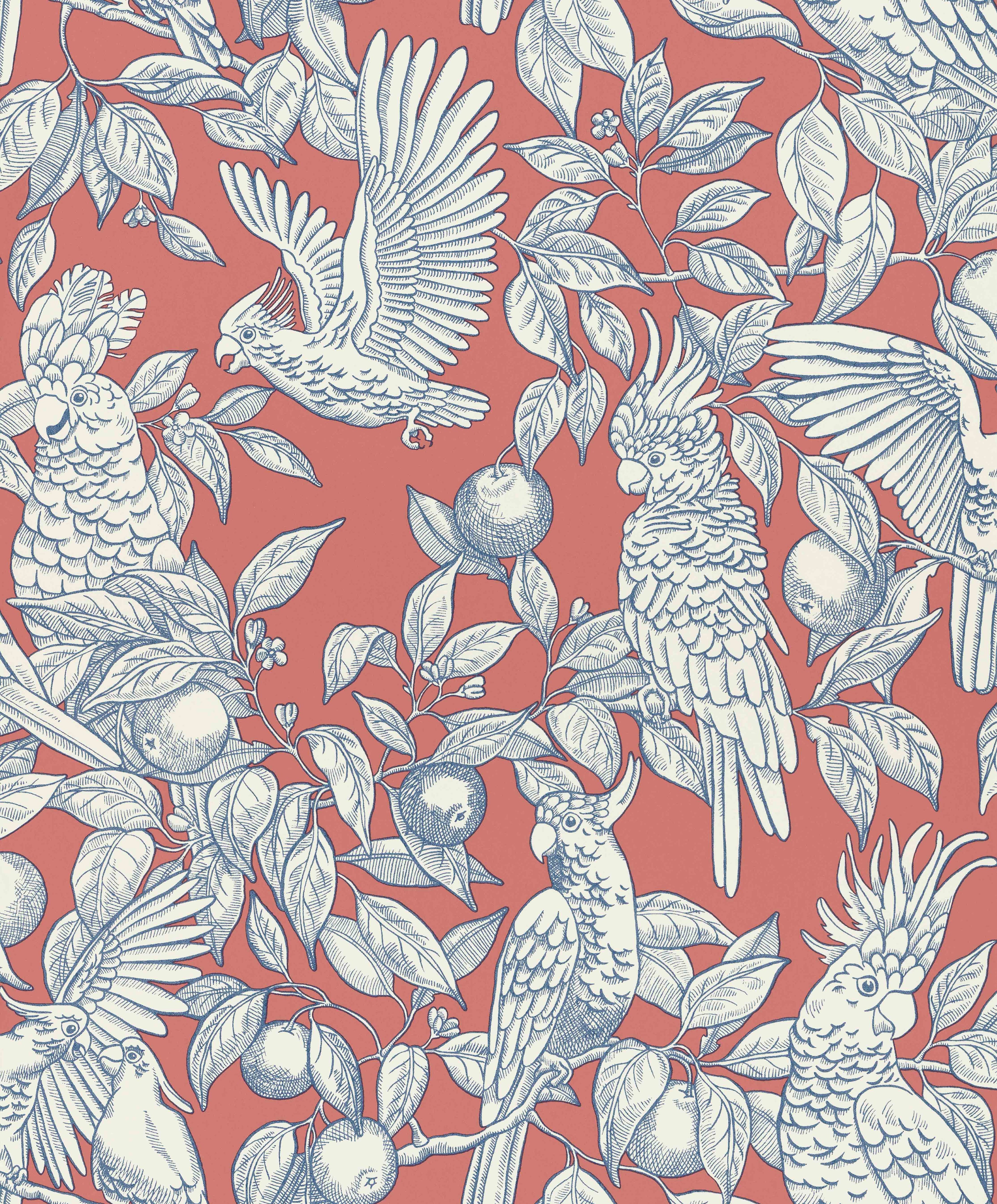 Talk about Cockatoos wallpaper by Langelid/von Bromssen - animals design in Red