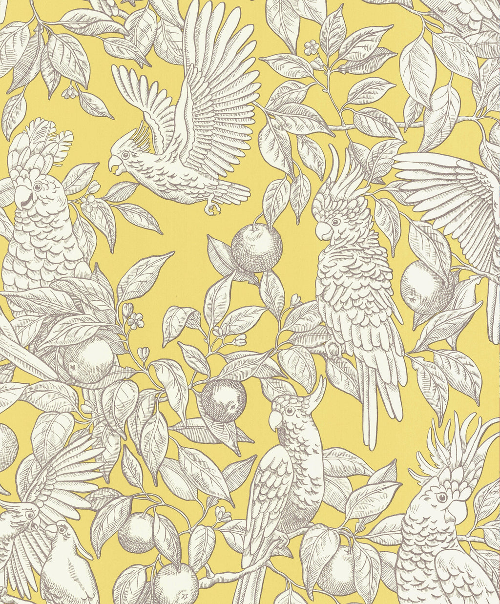 Talk about Cockatoos wallpaper by Langelid/von Bromssen - animals design in Yellow