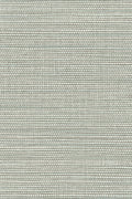 Marsh wallpaper by Arte in Grey – Pine (Pine Grey) – flat swatch of the woven grass texture pattern