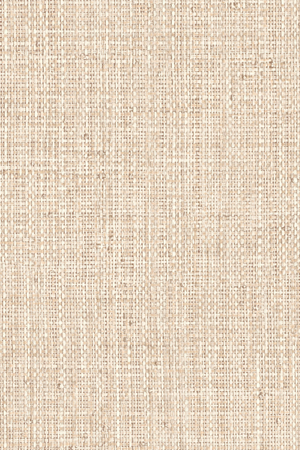 Nongo wallpaper by Arte in Cream (Warm White) – flat swatch of the basket weave texture pattern
