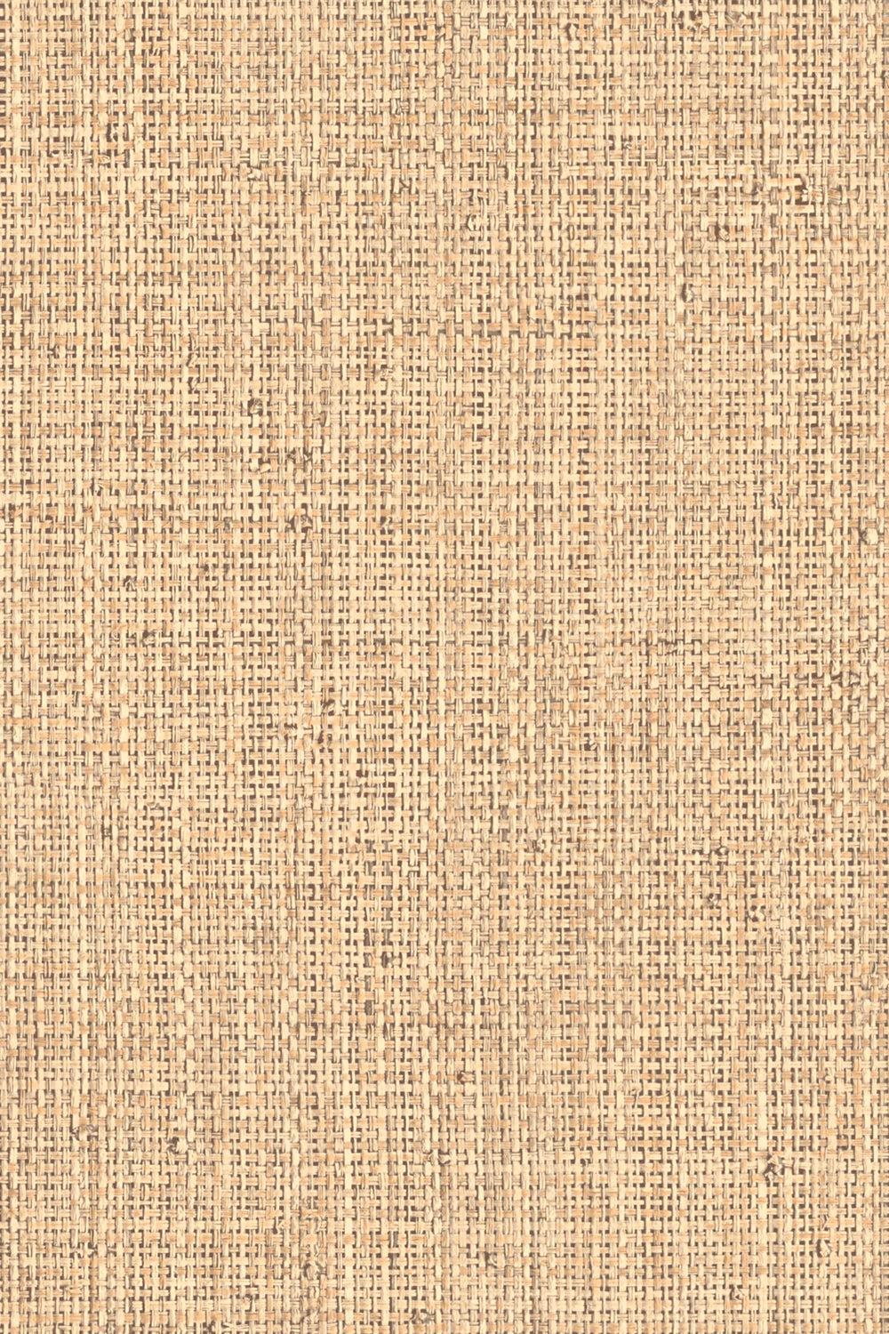 Nongo wallpaper by Arte in Beige – Sand – flat swatch of the basket weave texture pattern