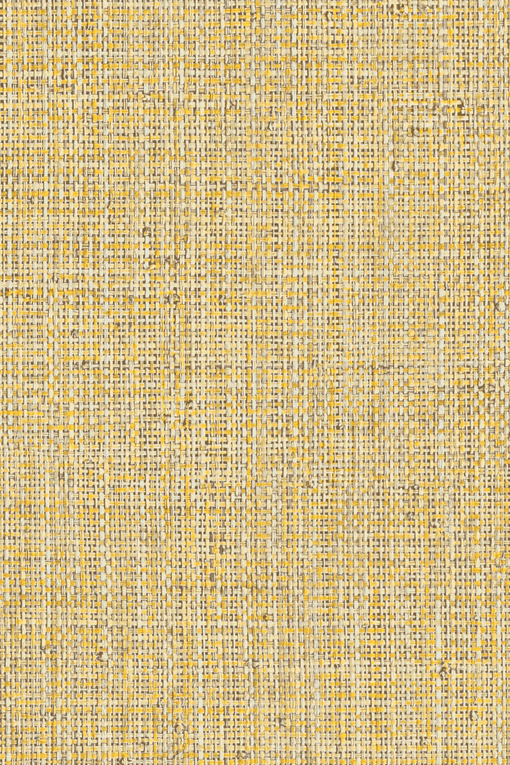 Nongo wallpaper by Arte in Gold (Malt) – flat swatch of the basket weave texture pattern