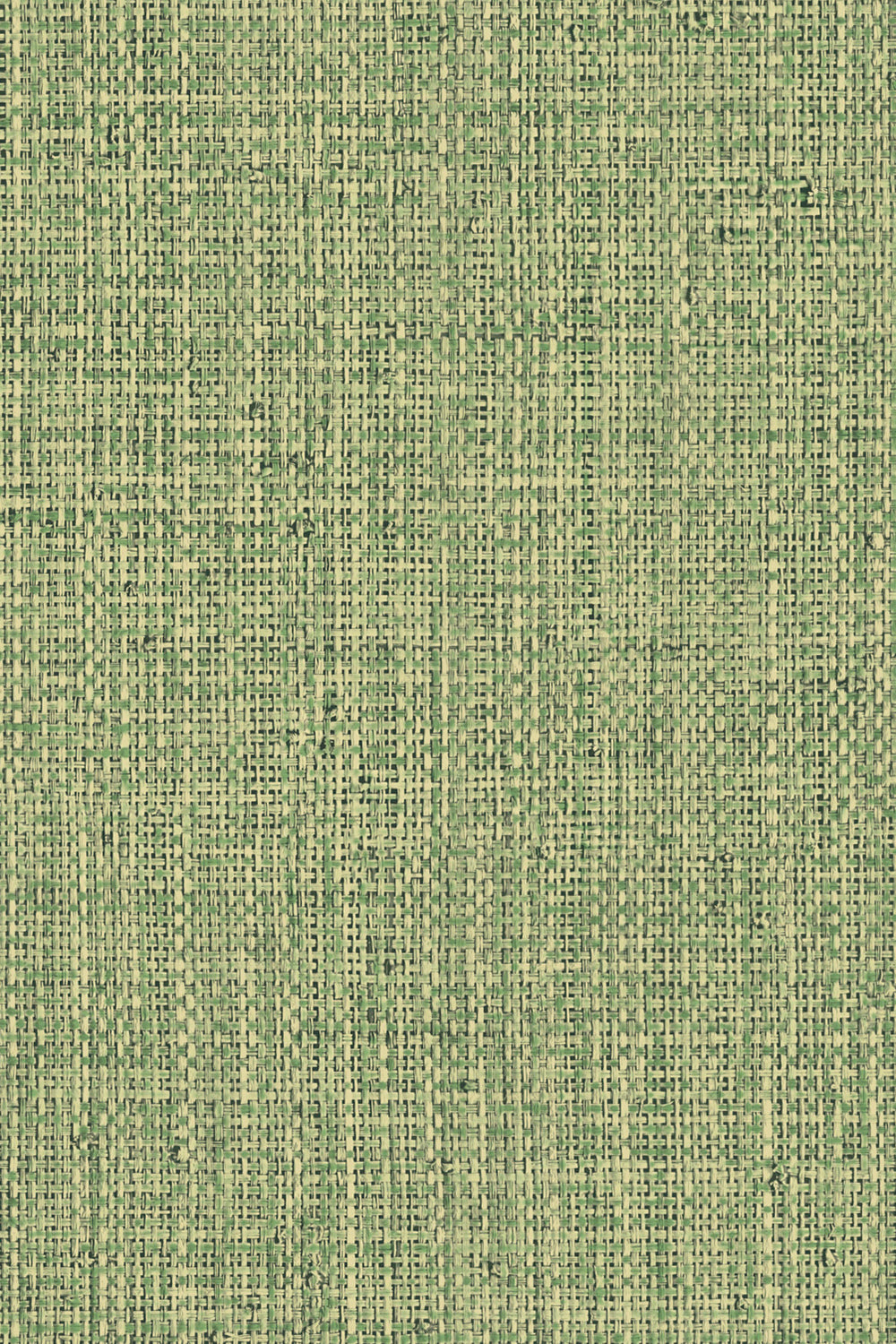 Nongo wallpaper by Arte in Green (Olive) – flat swatch of the basket weave texture pattern