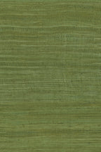 Tasar wallpaper by Arte in Green (Palmier) – flat swatch of the silk texture pattern