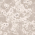 Tiami wallpaper by Romo in Perlino – floral design