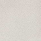 Kitty wallpaper by Romo in Luna – animals design