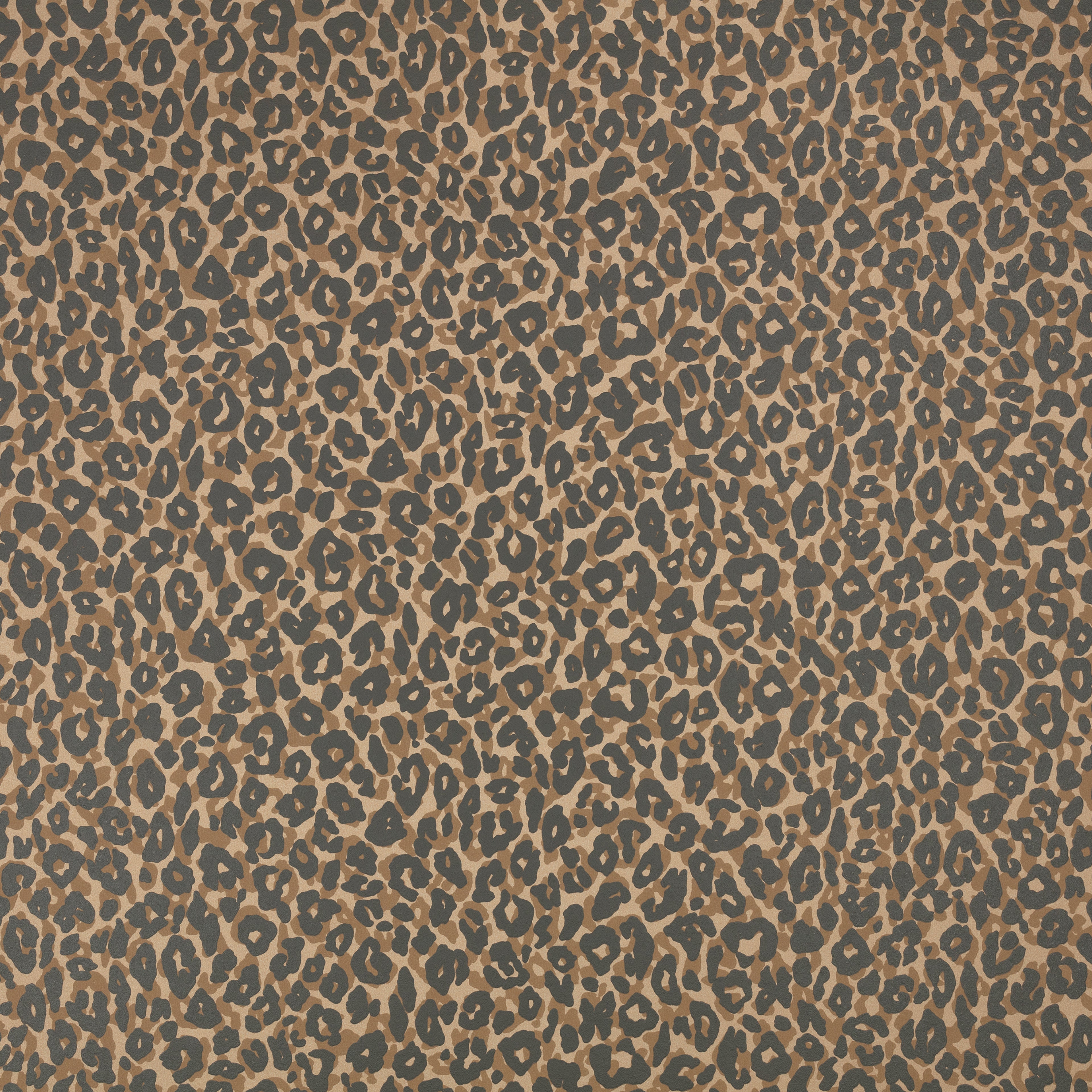 Kitty wallpaper by Romo in Tan – animals design