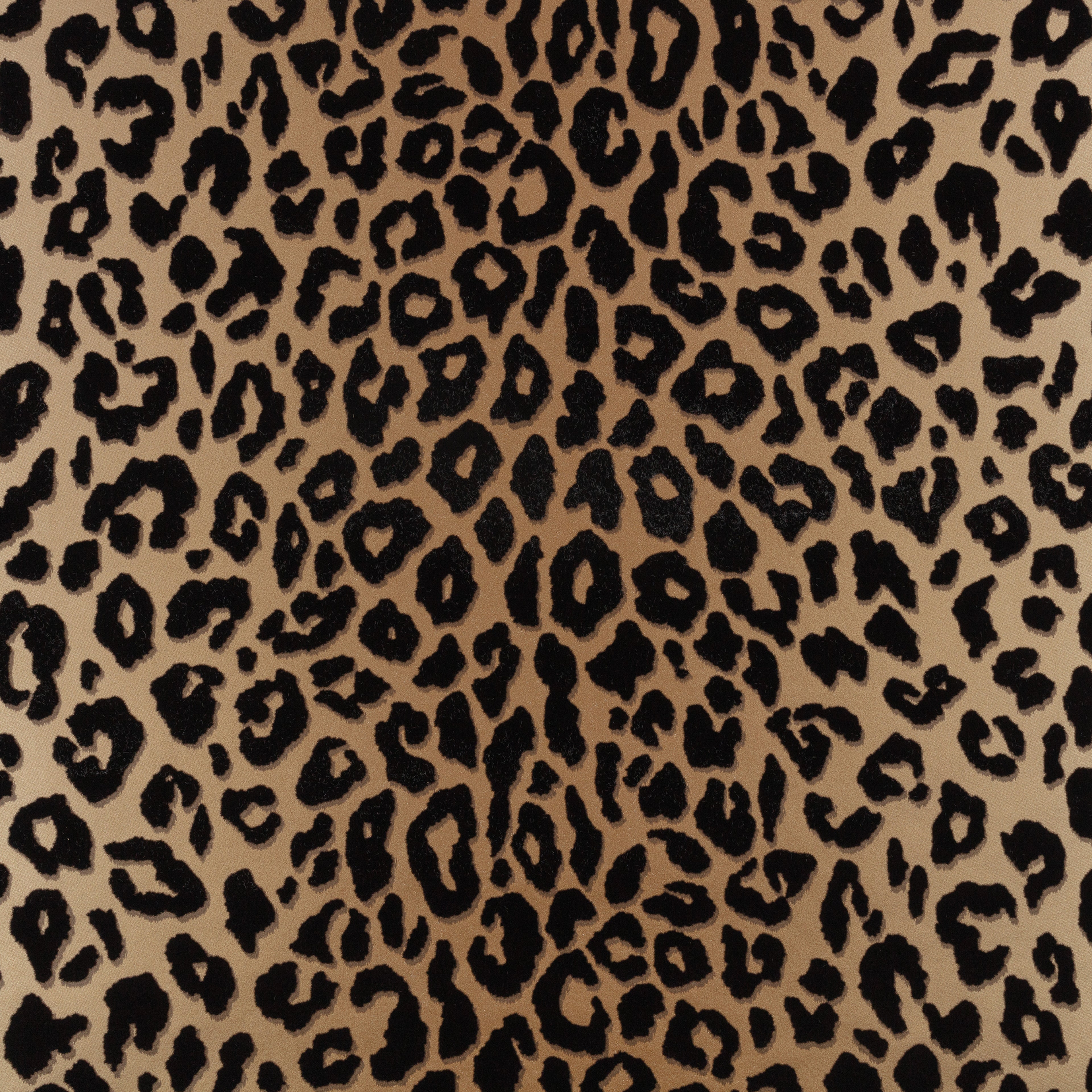 Mimi by Romo wallpaper by Romo in Tan – animals design