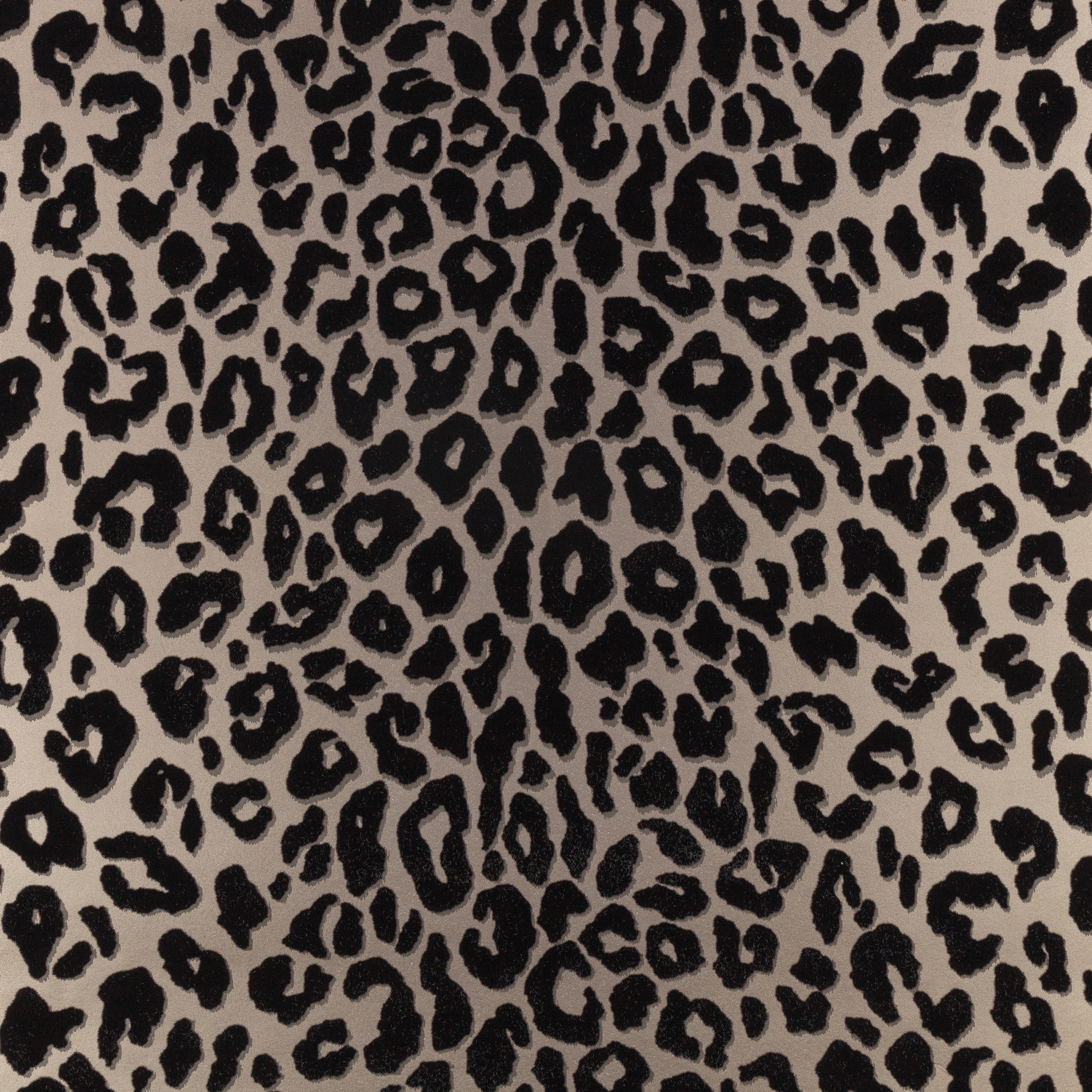 Mimi by Romo wallpaper by Romo in Kohl – animals design