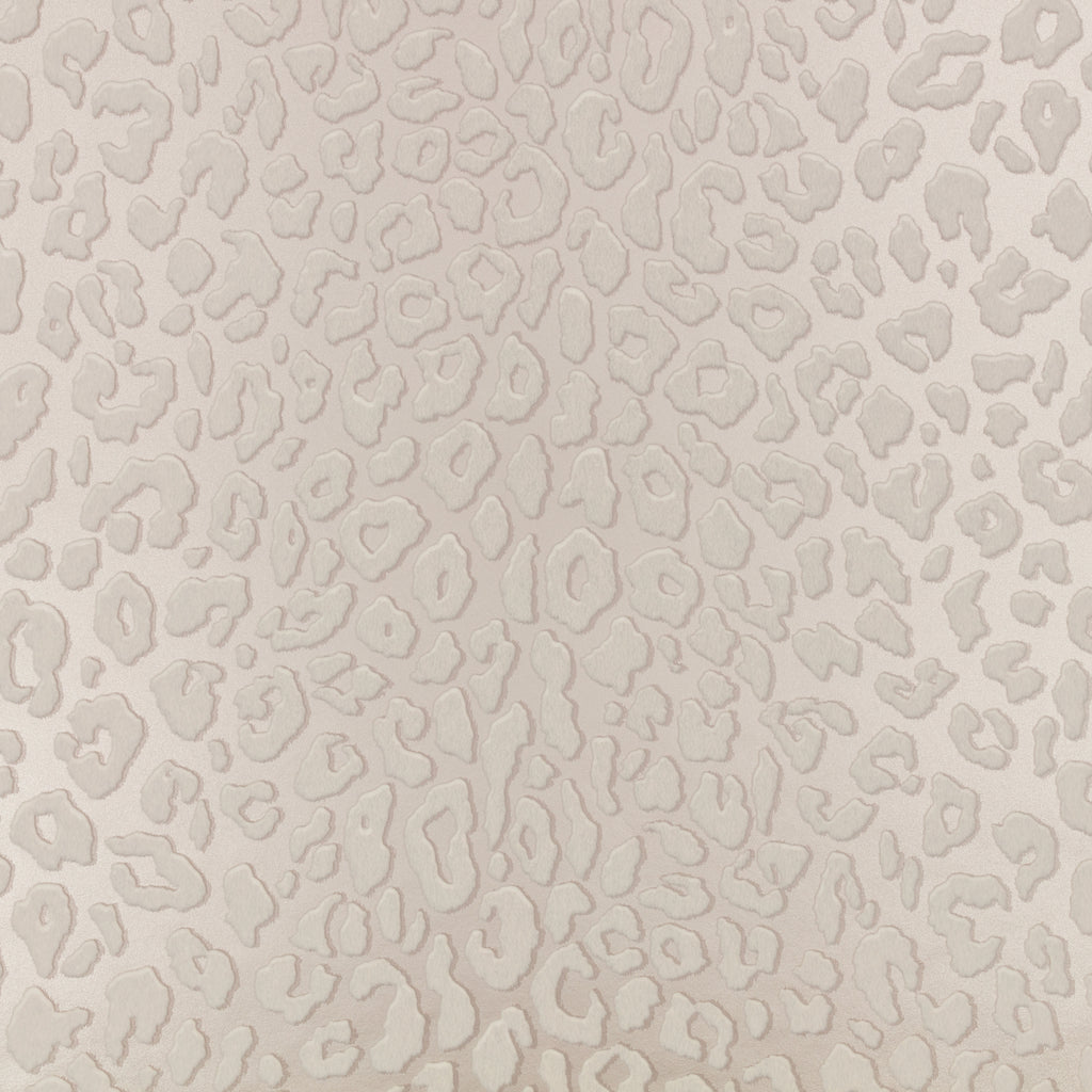 Mimi by Romo wallpaper by Romo in Luna – animals design