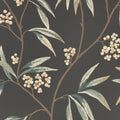 Mima wallpaper by Romo in Ebony – botanical design