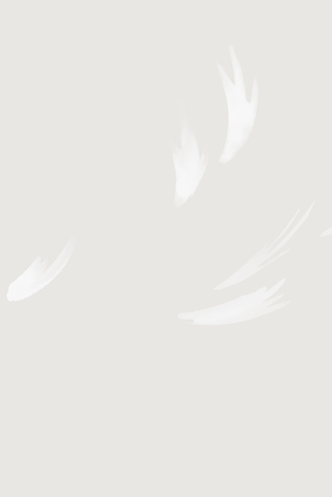 Falling Feather