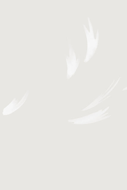 Falling Feather