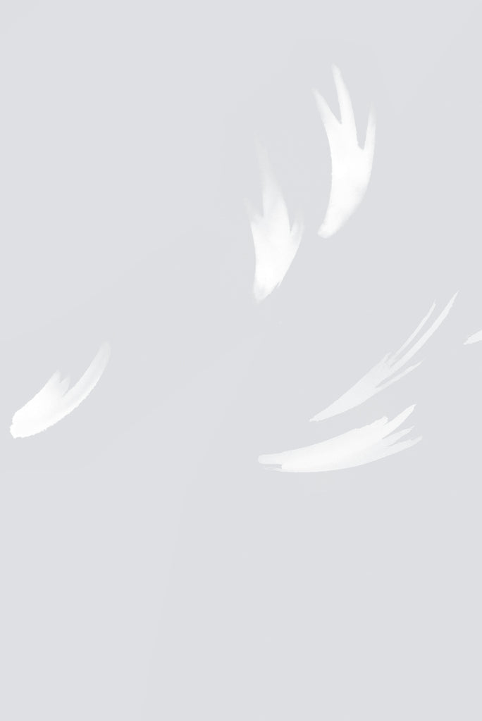 Falling Feather