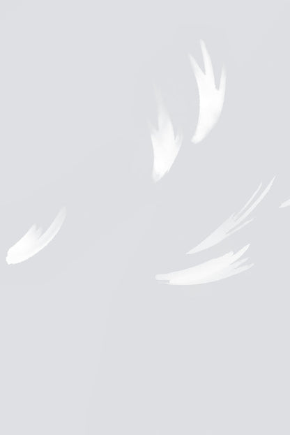 Falling Feather