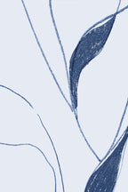 Vine