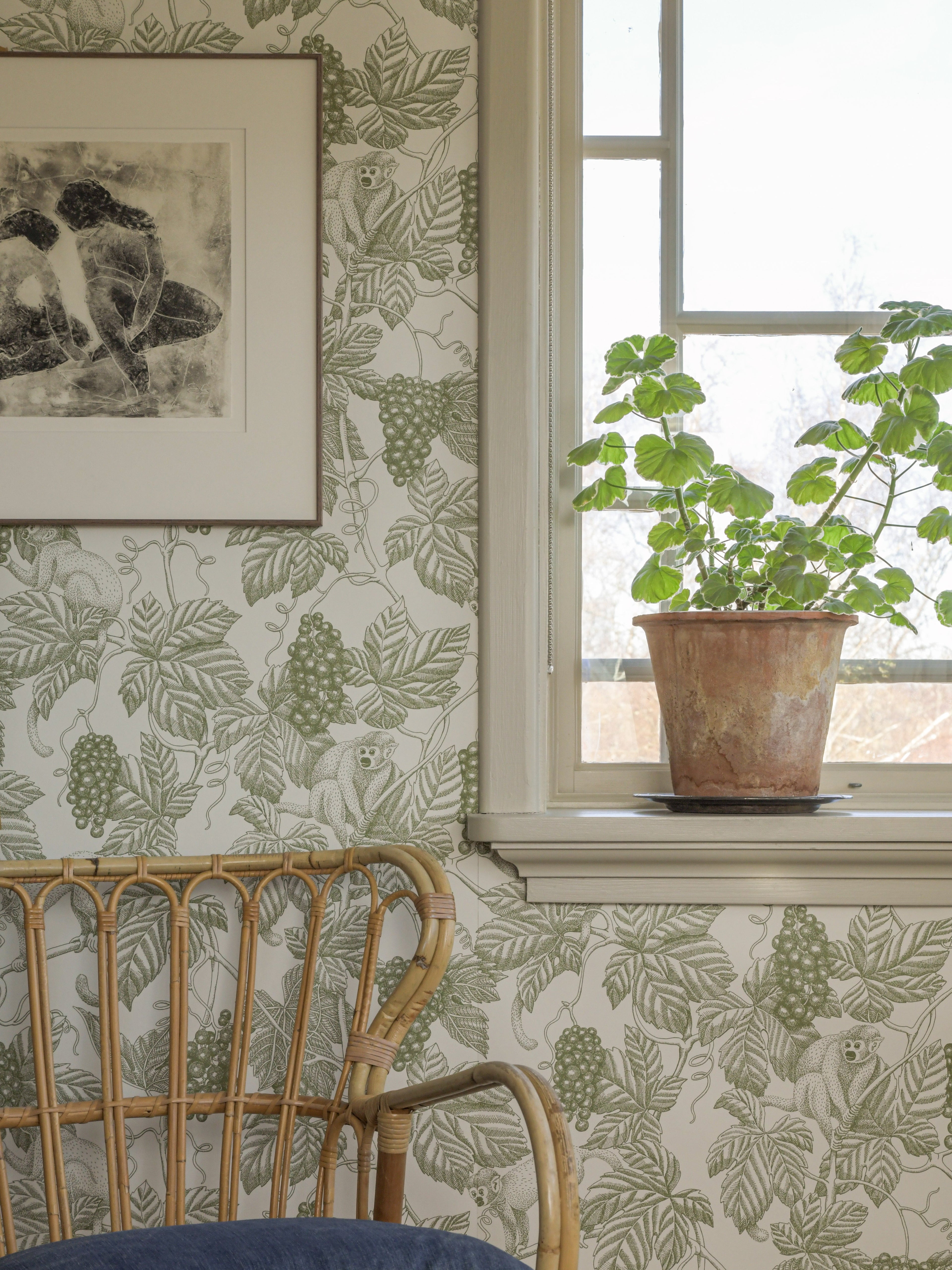 Grape Thief wallpaper by Langelid/von Bromssen - animals design in Green