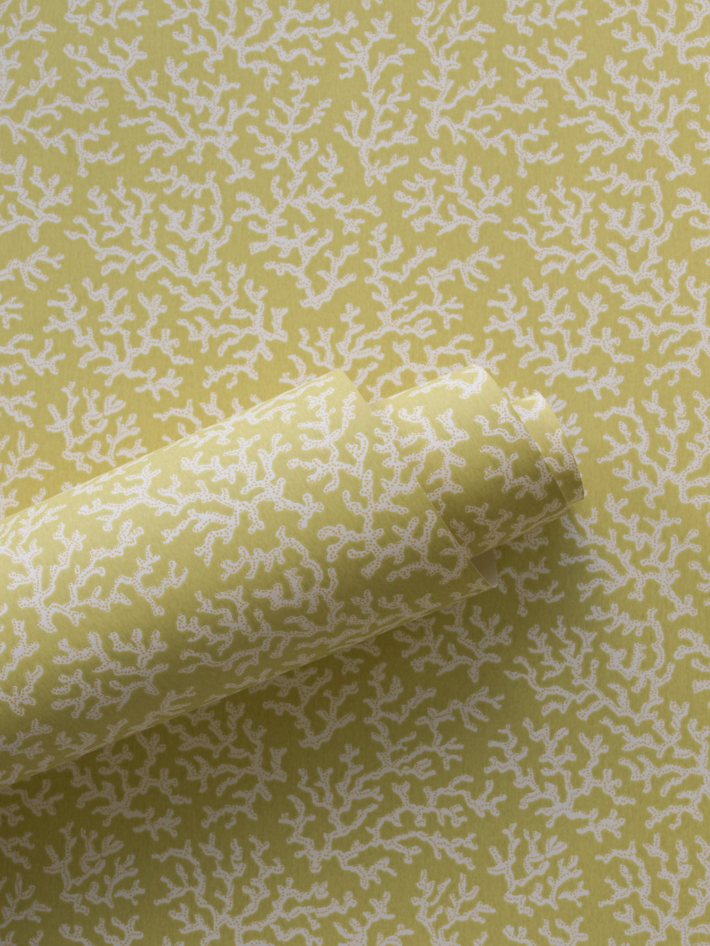 Coral wallpaper by Langelid/von Bromssen - coastal design in Yellow