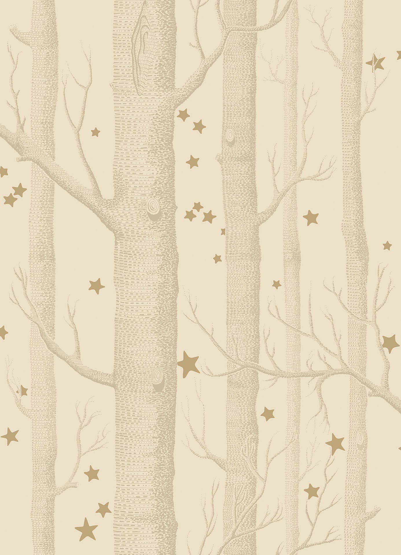 Woods & Stars - Wallpaper Trader