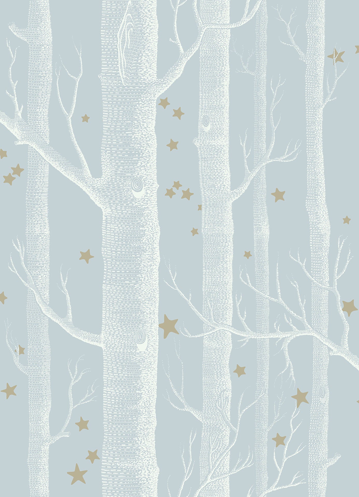 Woods & Stars - Wallpaper Trader