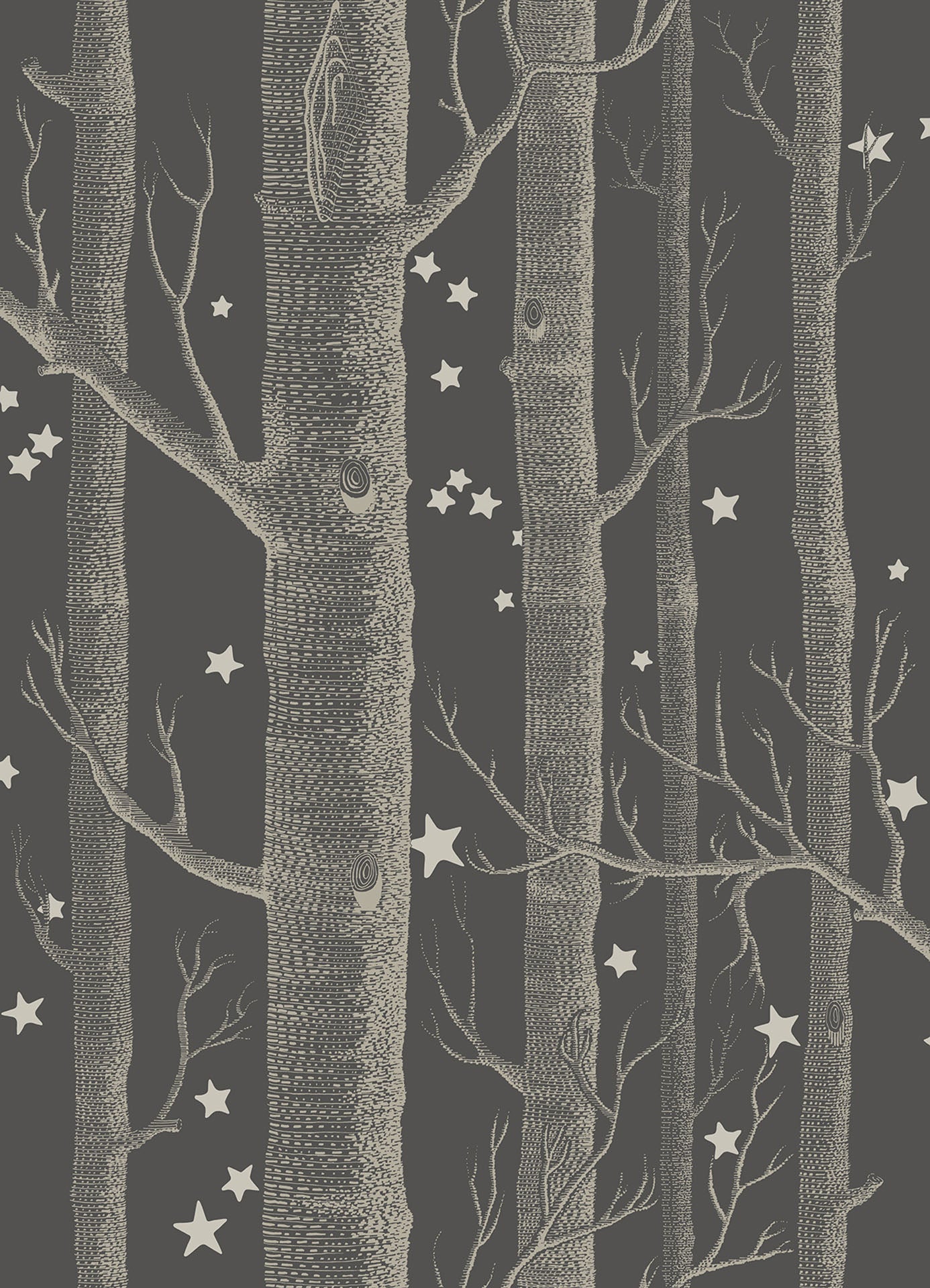 Woods & Stars - Wallpaper Trader