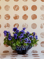 A Peep to the Past wallpaper by Långelid/von Brömssen in Brown, styled room shot 2