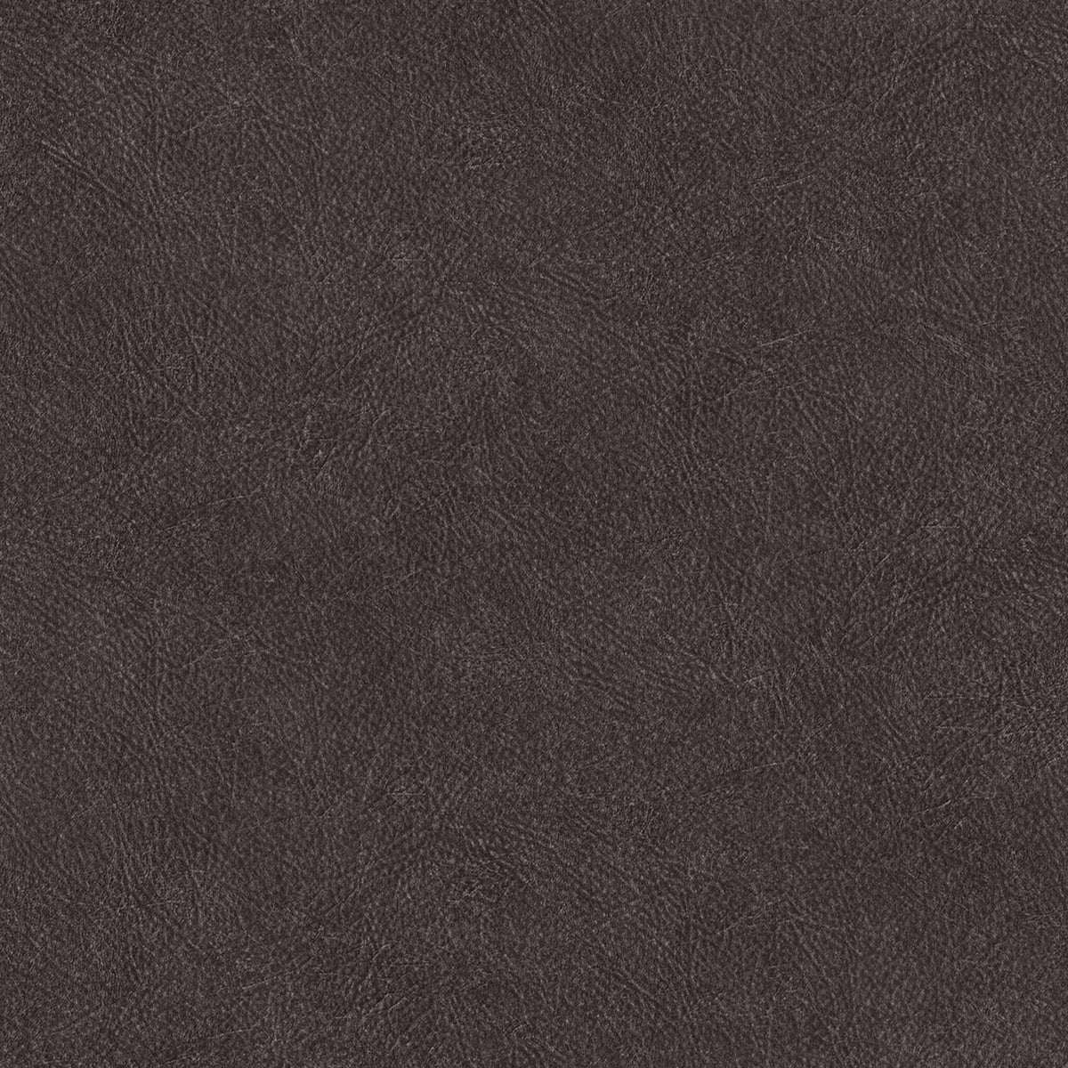 Cuero wallpaper by Coordonné in Charcoal, flat swatch