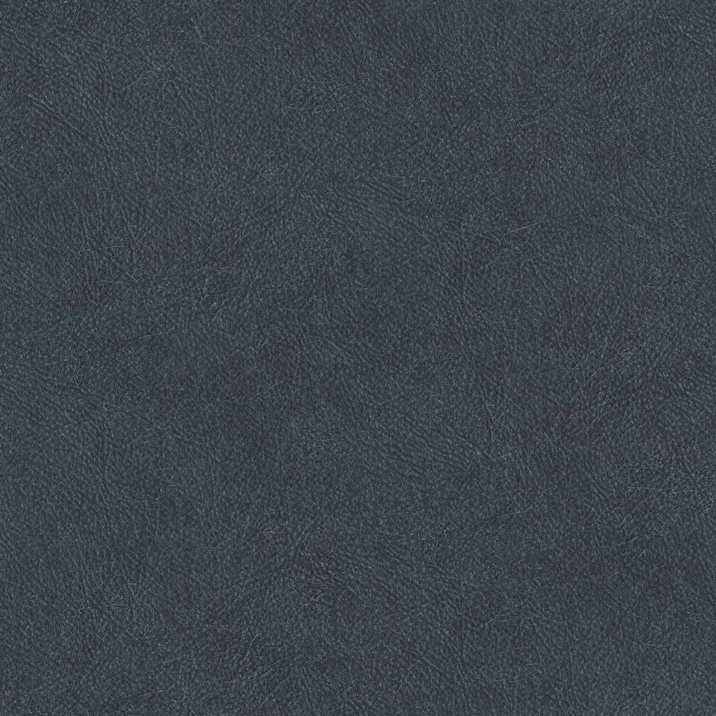 Cuero wallpaper by Coordonné in Blue, flat swatch
