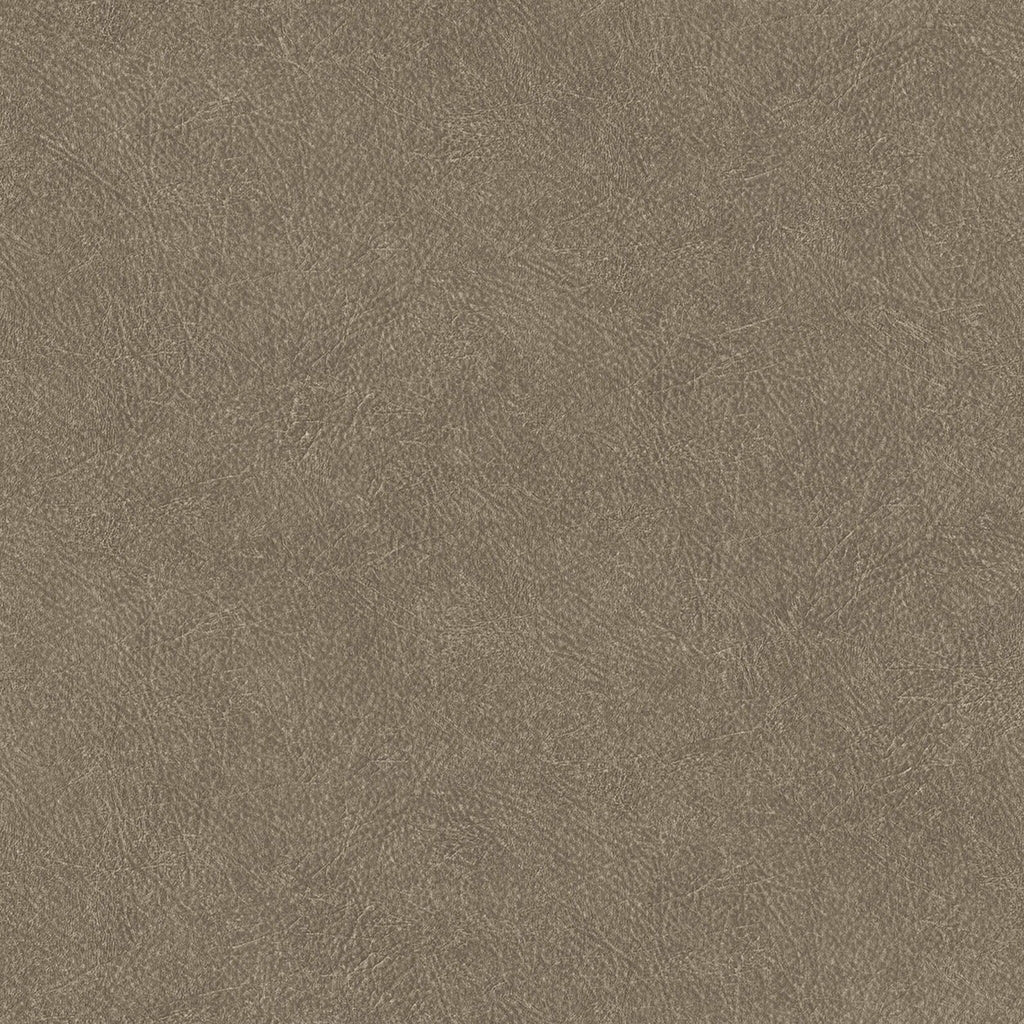 Cuero wallpaper by Coordonné in Taupe, flat swatch