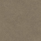 Cuero wallpaper by Coordonné in Taupe, flat swatch