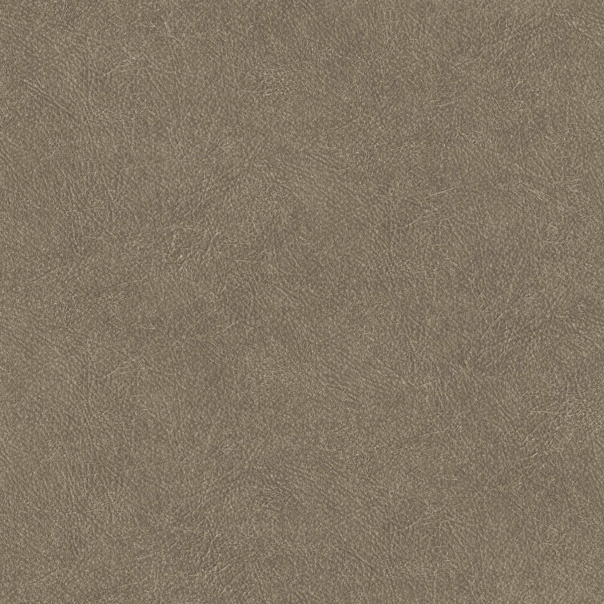 Cuero wallpaper by Coordonné in Taupe, flat swatch