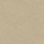 Cuero wallpaper by Coordonné in Beige, flat swatch
