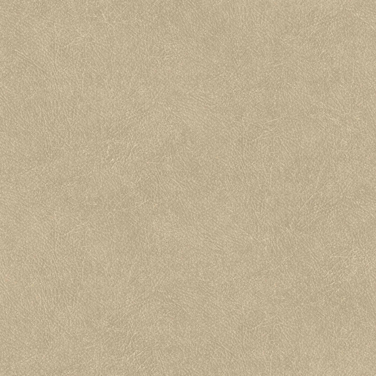 Cuero wallpaper by Coordonné in Beige, flat swatch