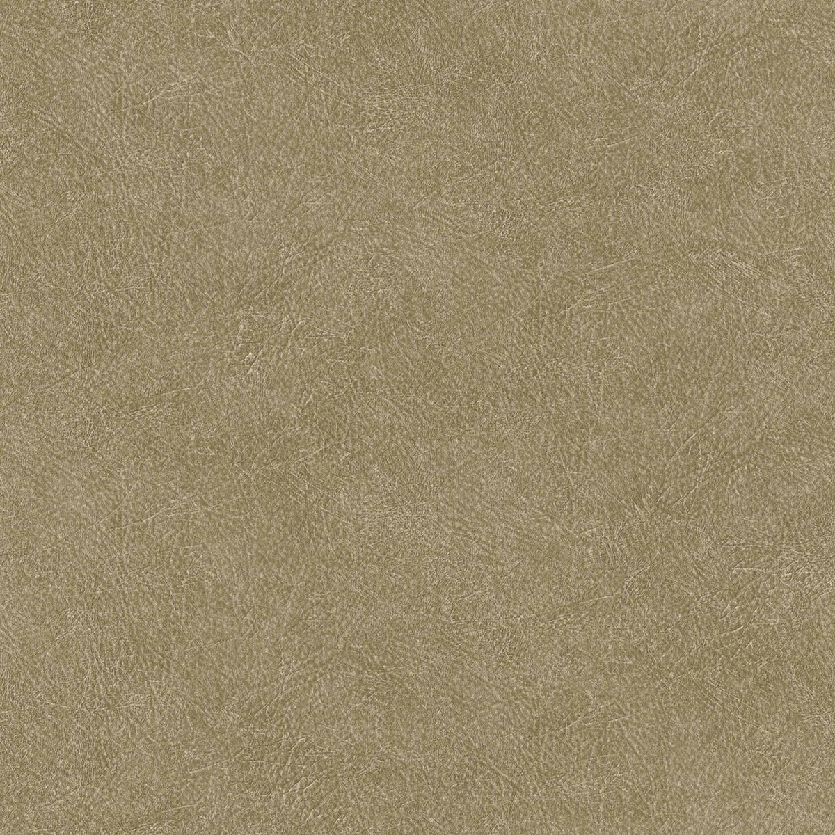 Cuero wallpaper by Coordonné in Light Brown, flat swatch
