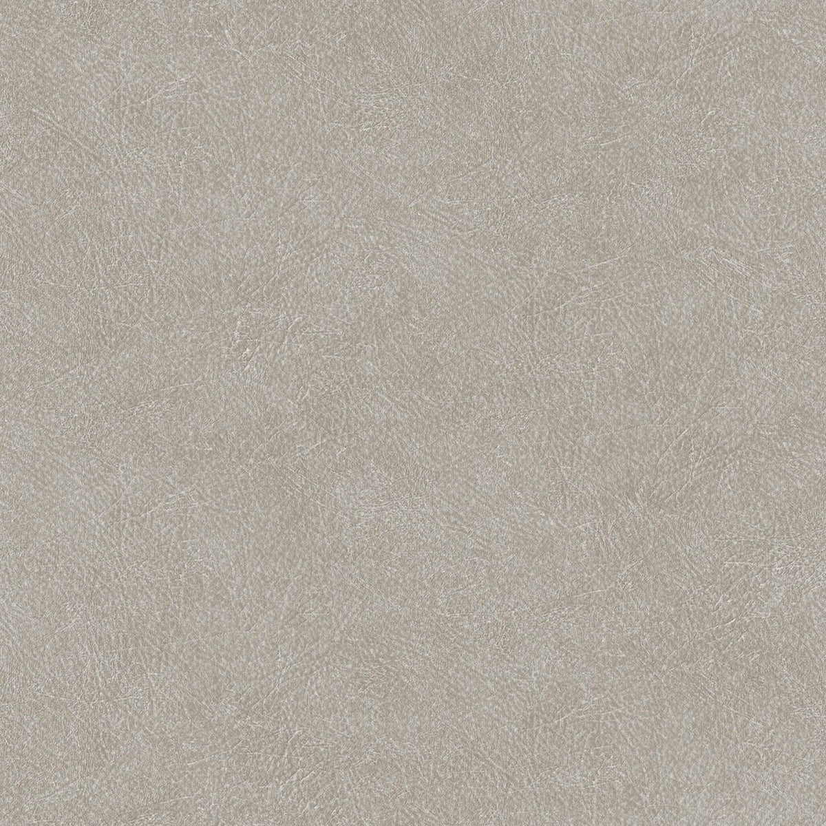 Cuero wallpaper by Coordonné in Grey, flat swatch