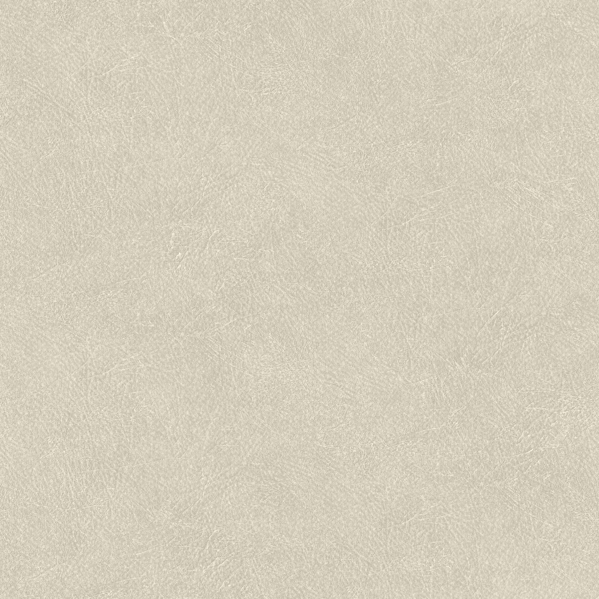 Cuero wallpaper by Coordonné in Cream, flat swatch