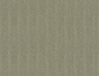 Espiguilla wallpaper by Coordonné in Sage Green, flat swatch