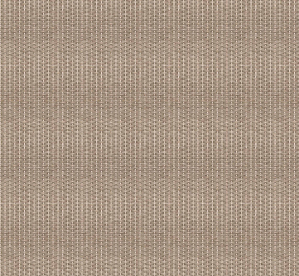 Kuba wallpaper by Coordonné in Taupe, flat swatch