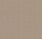 Kuba wallpaper by Coordonné in Taupe, flat swatch