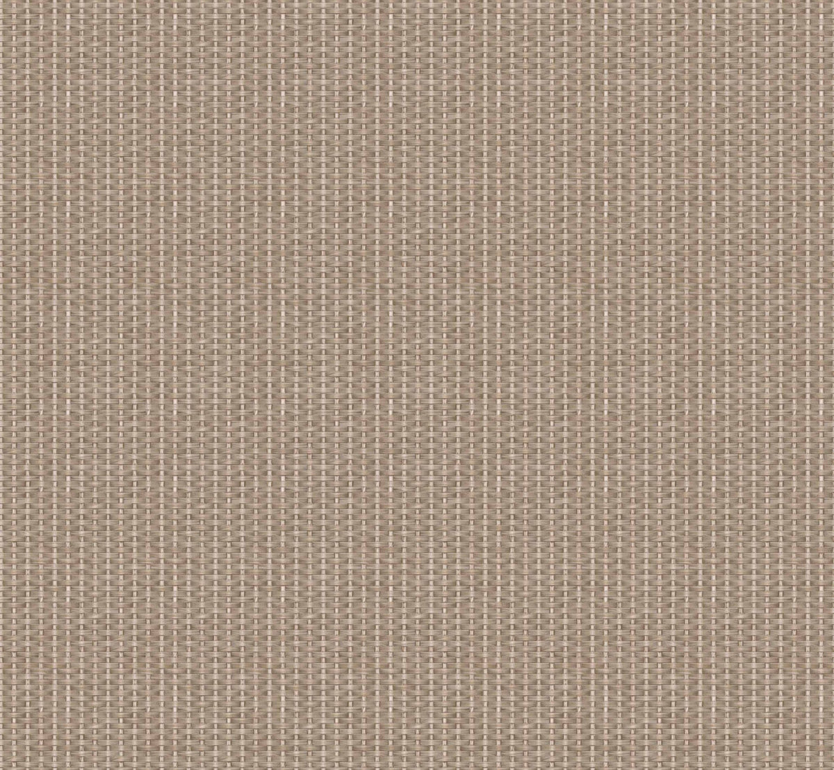 Kuba wallpaper by Coordonné in Taupe, flat swatch
