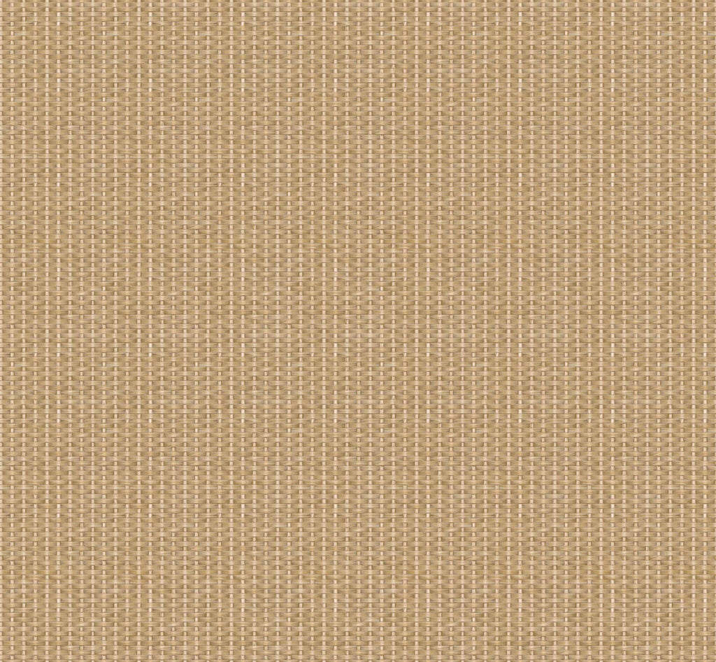Kuba wallpaper by Coordonné in Beige, flat swatch
