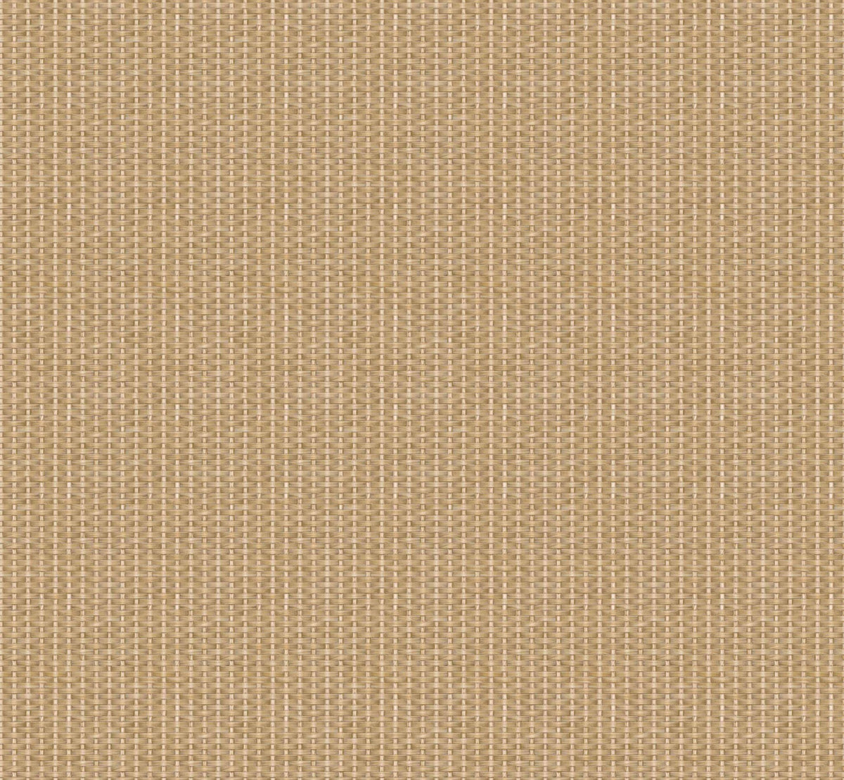 Kuba wallpaper by Coordonné in Beige, flat swatch