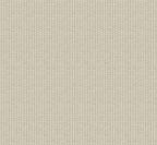 Kuba wallpaper by Coordonné in Cream, flat swatch