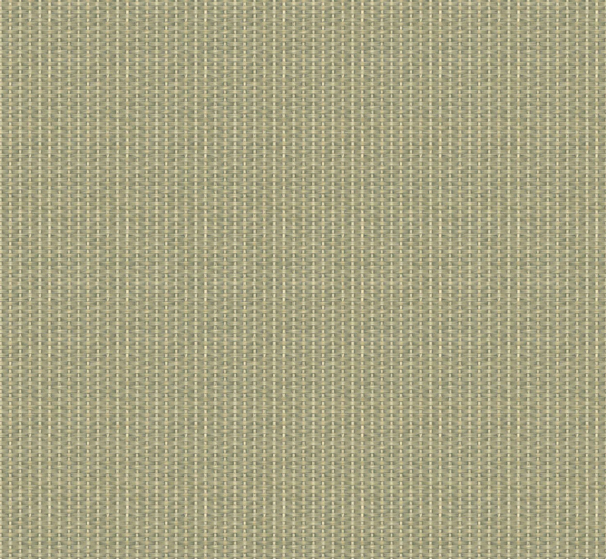 Kuba wallpaper by Coordonné in Green, flat swatch