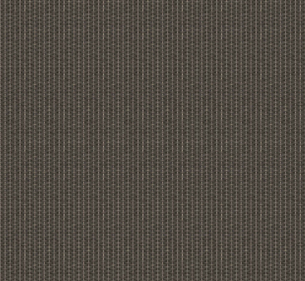 Kuba wallpaper by Coordonné in Black, flat swatch