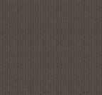 Kuba wallpaper by Coordonné in Black, flat swatch